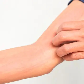 Istock 1470150940